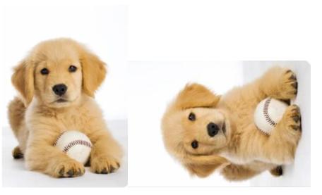 轻量级图像增强,图像增强的展望