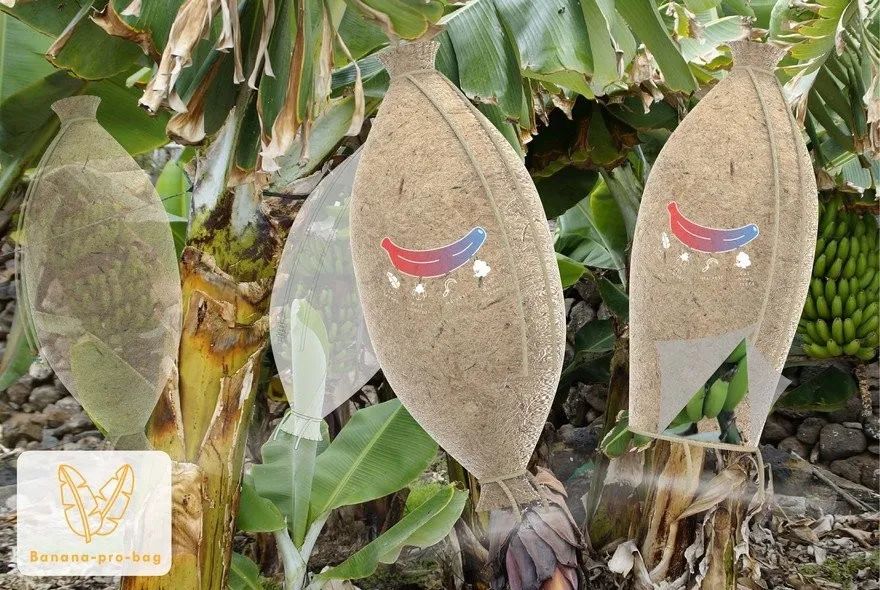 core77获奖设计作品,2024if设计奖获奖作品