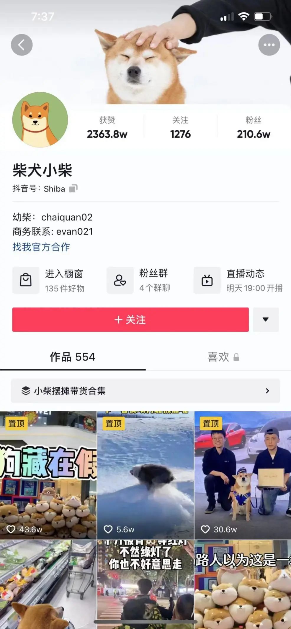 2490亿市场，短视频下的宠物经济