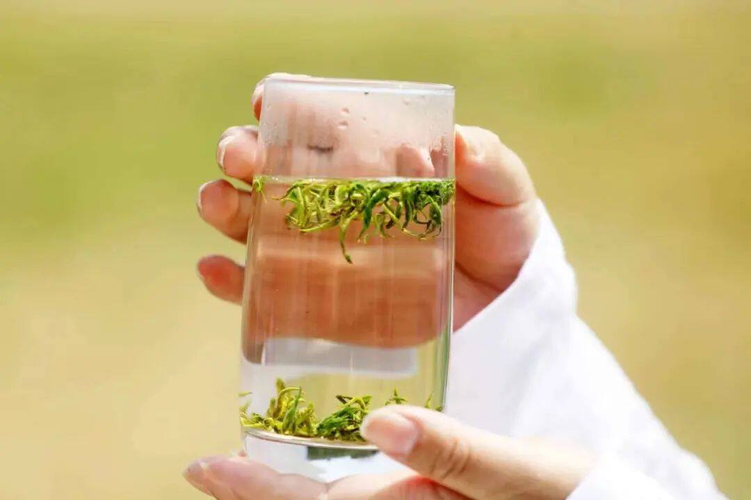 离杭州比较近的浙江城市,离杭州很近的市区