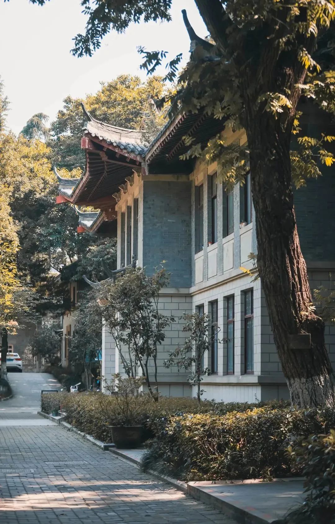 南京十二中中考2022年喜报,2022南京十二中中考四星达线率