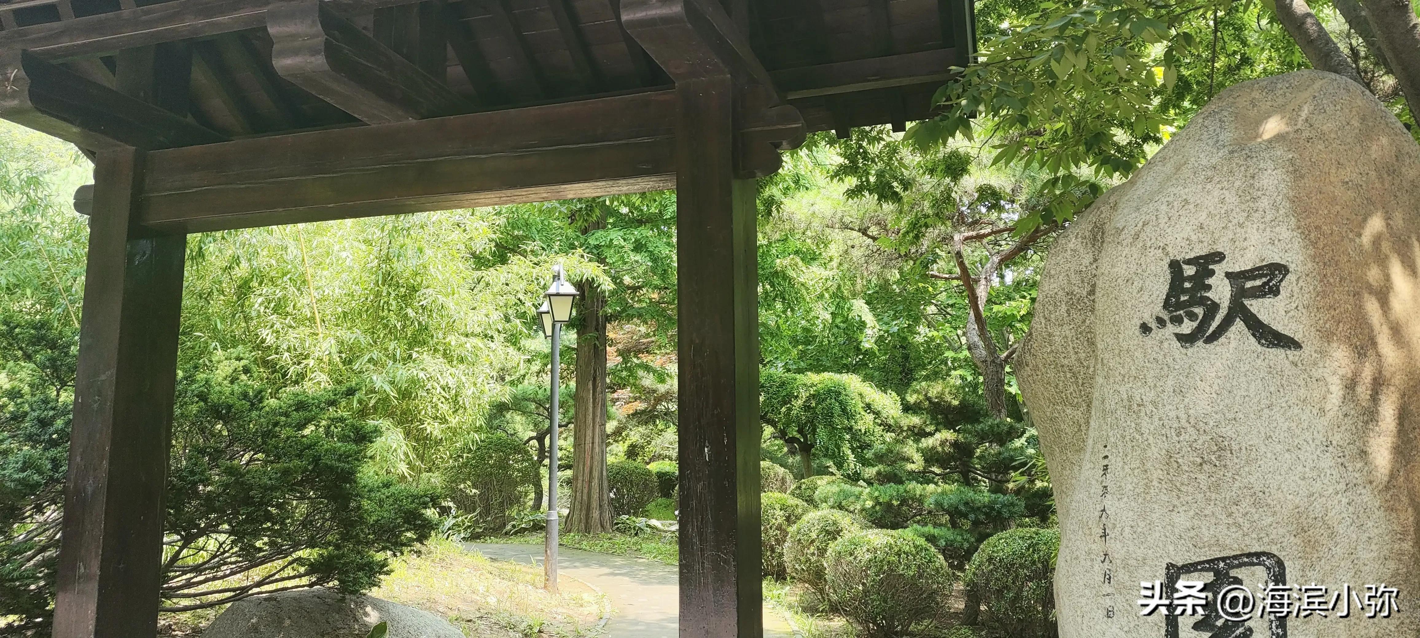 亲身徒步探访东海公园滨海路全纪录（二）