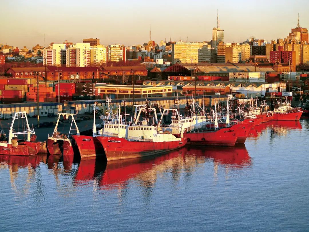 蒙得维的亚,蒙得维的亚vs佩纳罗尔