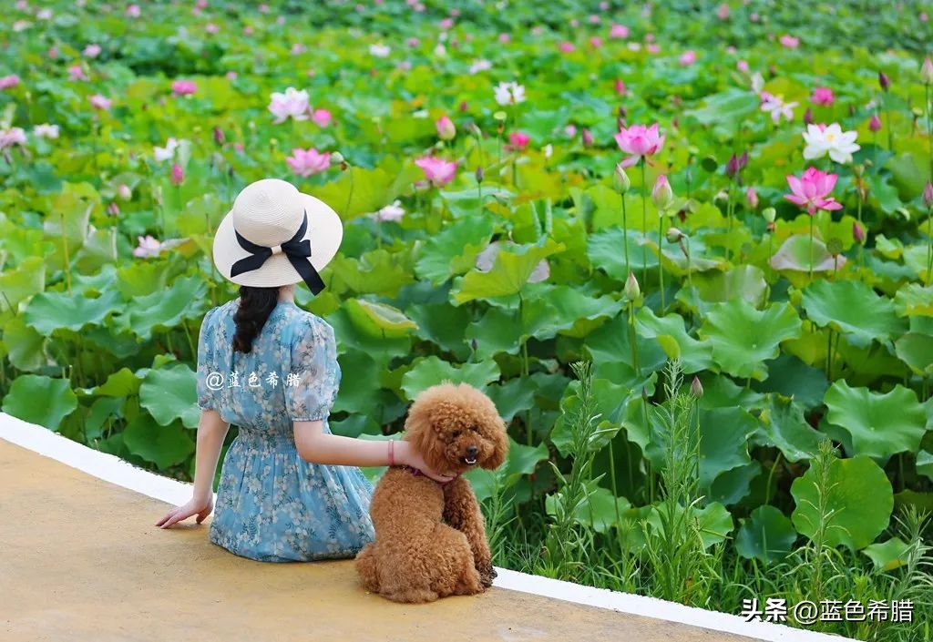 你好夏至愿一切美好都如夏而至,夏至已到愿所有美好如约而至