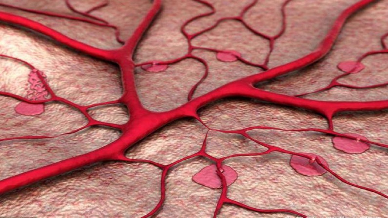 长期用伟哥有副作用吗,长期使用伟哥会有什么副作用