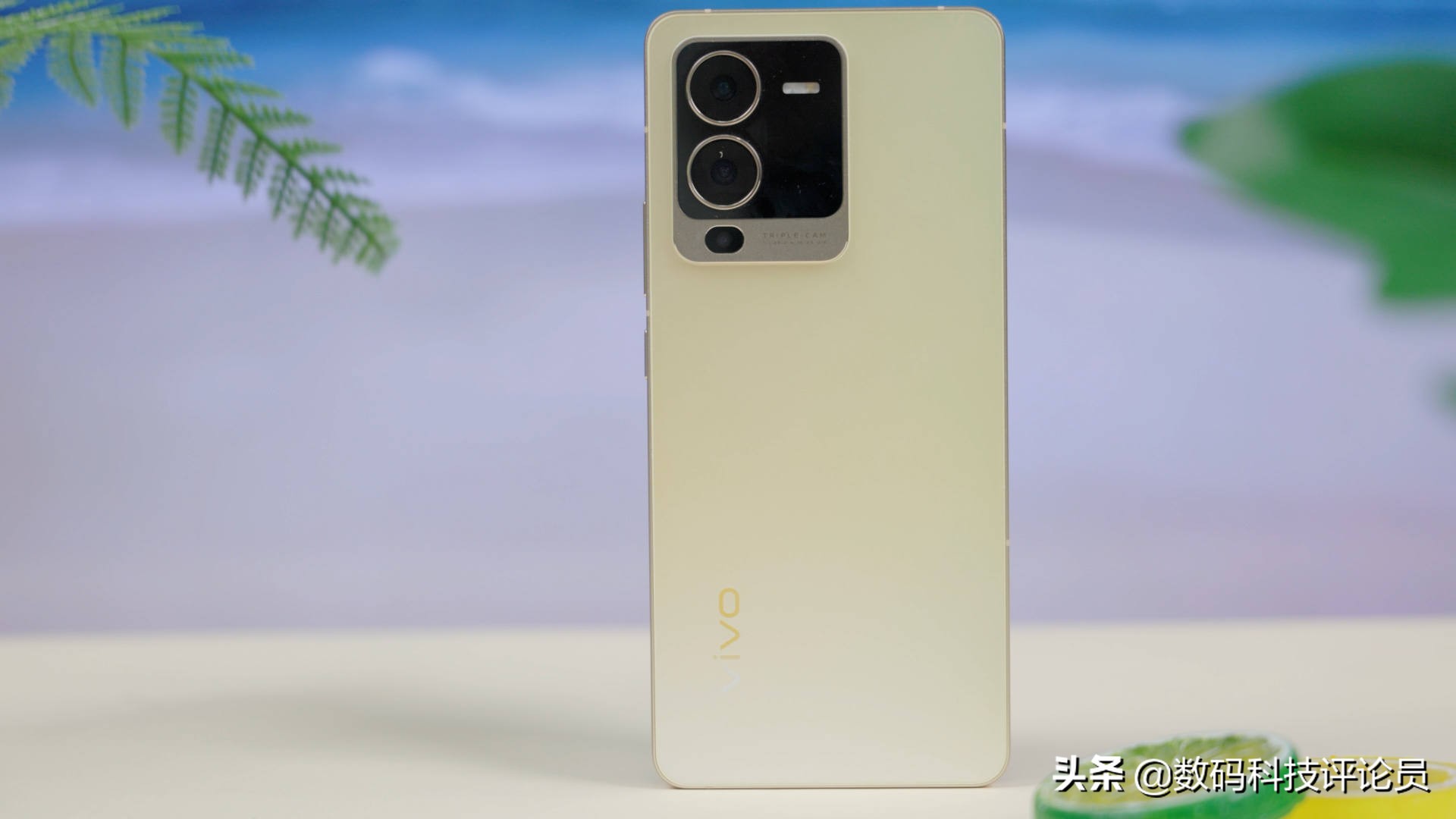 vivos15是用的骁龙870巅峰版吗,vivos15骁龙870巅峰版与普通版