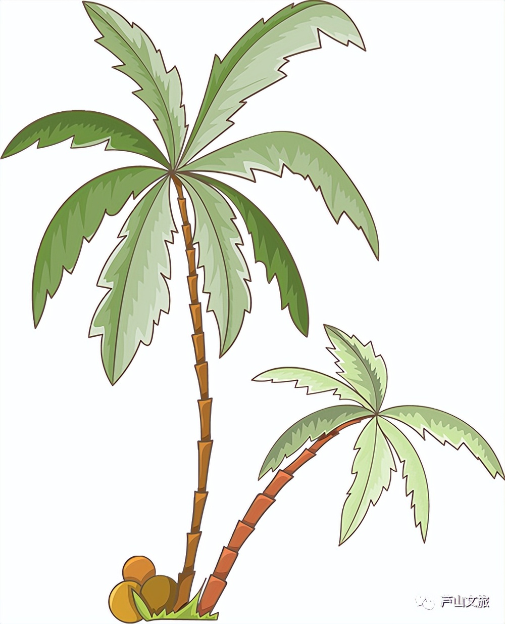 芦山县大川镇夏天避暑凉快吗,暑假避暑旅游最佳选择川内