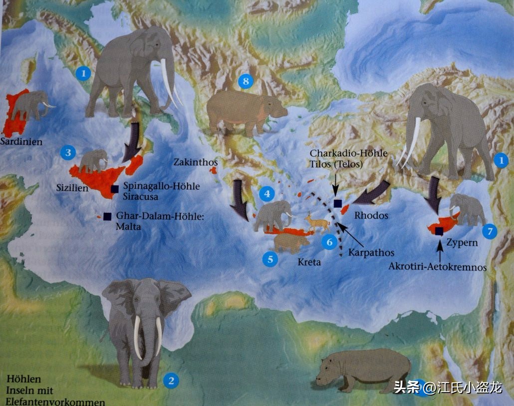 猛犸象遗迹,西普塔岛猛犸象