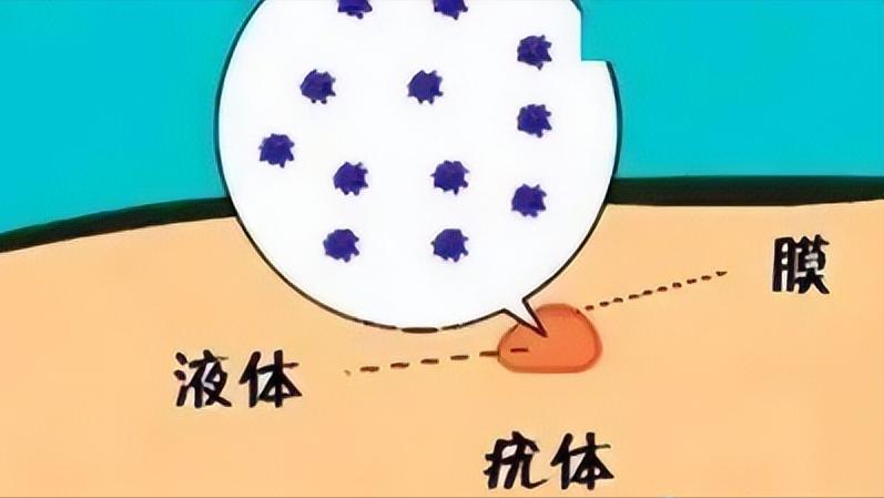 HPV6阳性没有疣体正常吗