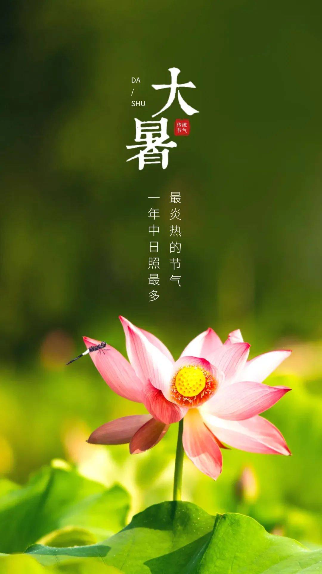 二十四节气小暑文案主题横图,大暑朋友圈清凉文案海报