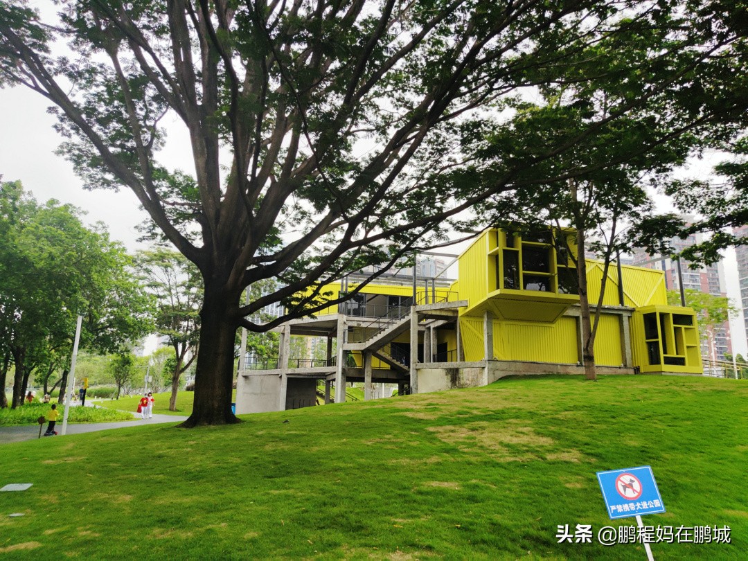 深圳龙华区观澜中心公园,龙华观澜中心公园