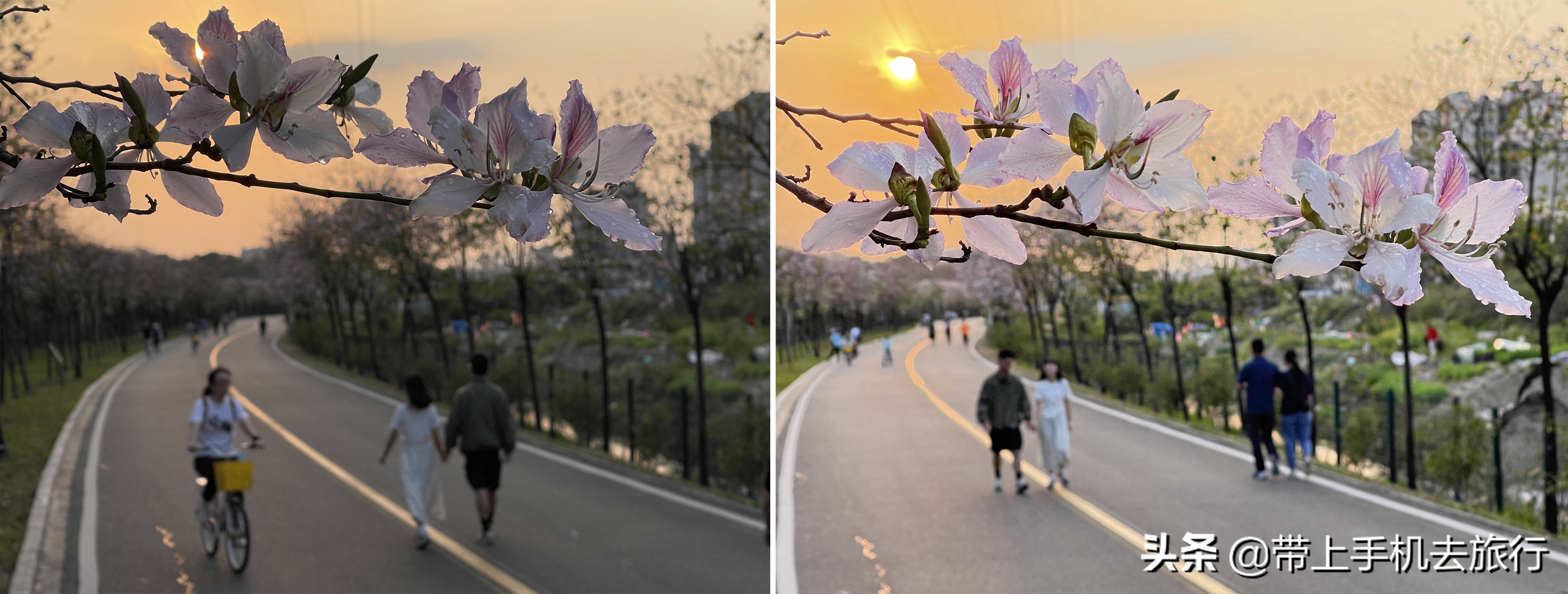 手机摄影怎么样用专业模式,手机摄影是怎么搞的