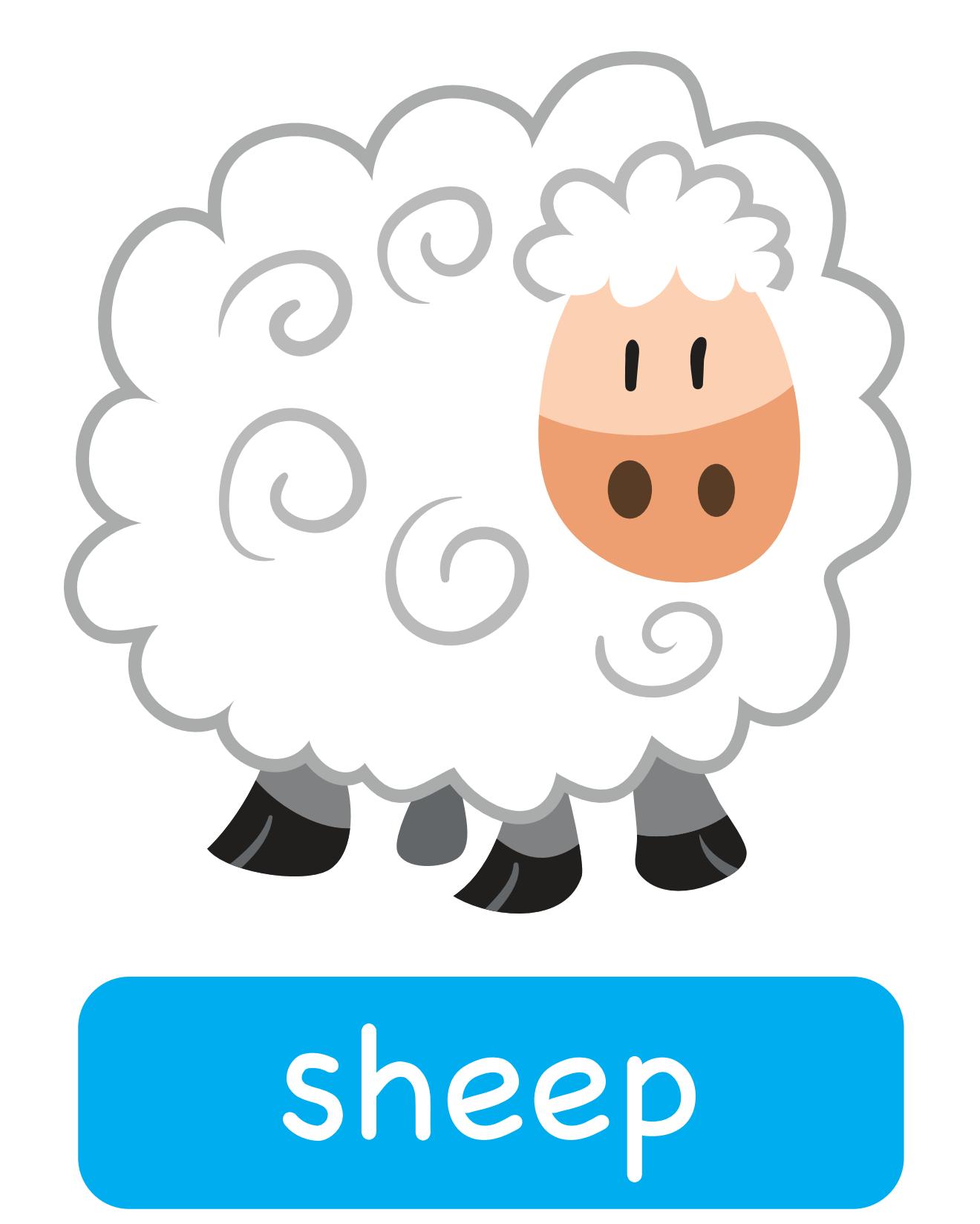 图说英语单词：高清动物类卡片，一图一单词