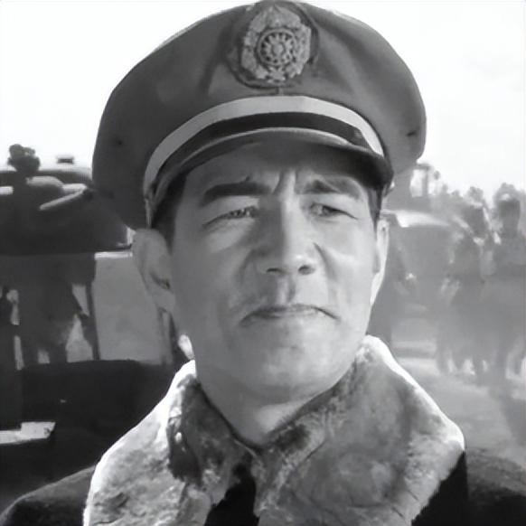 关于革命的小说红日简介,长篇小说红日沈振新的原型是谁