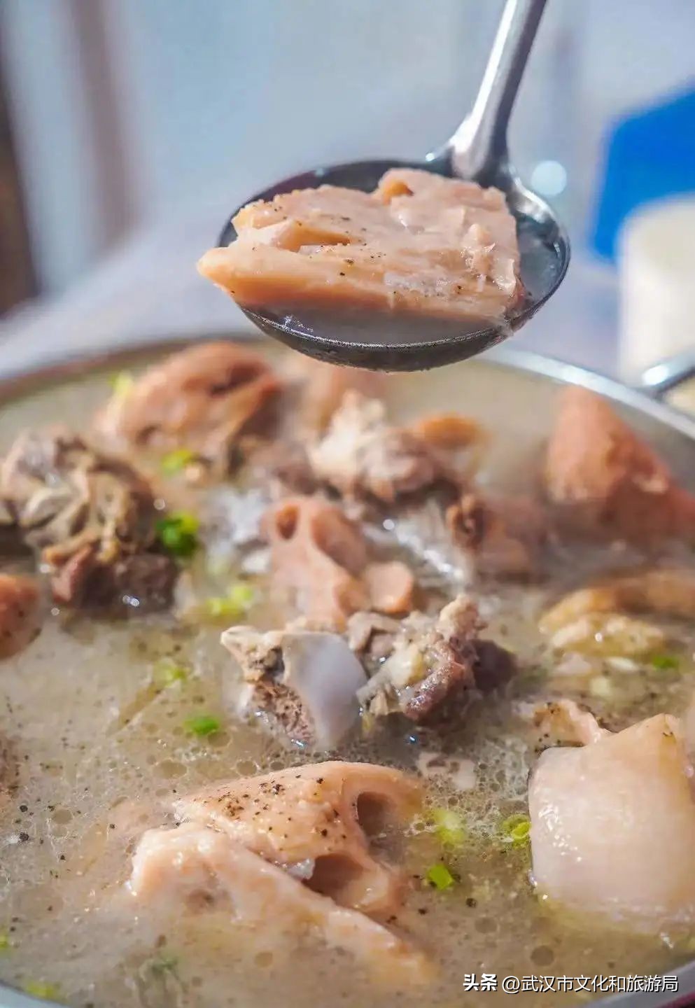 端午游攻略视频,端午出行攻略视频