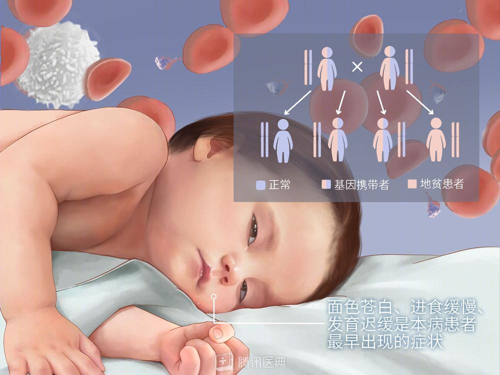 婚检不免费吗,免费婚检和付费婚检区别