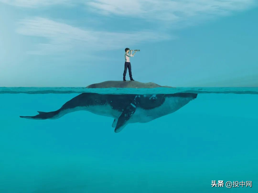 lv成立首只人民币基金抖音号,刚上市的基金有哪些