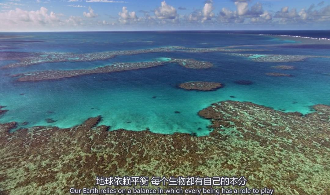 极端高温怎么解决啊,极端温度灾害主要有