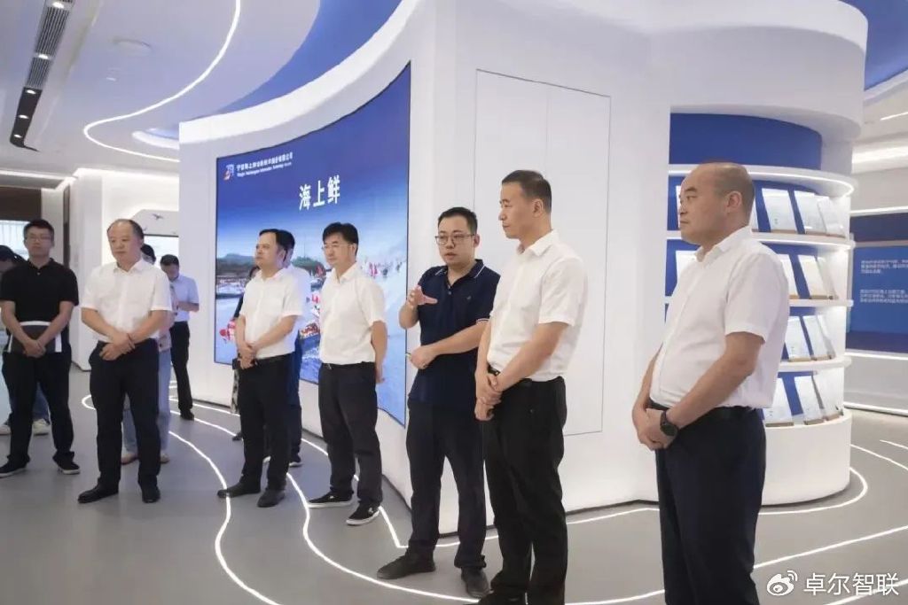 卓尔智联案例分析,卓尔智联重组最新消息