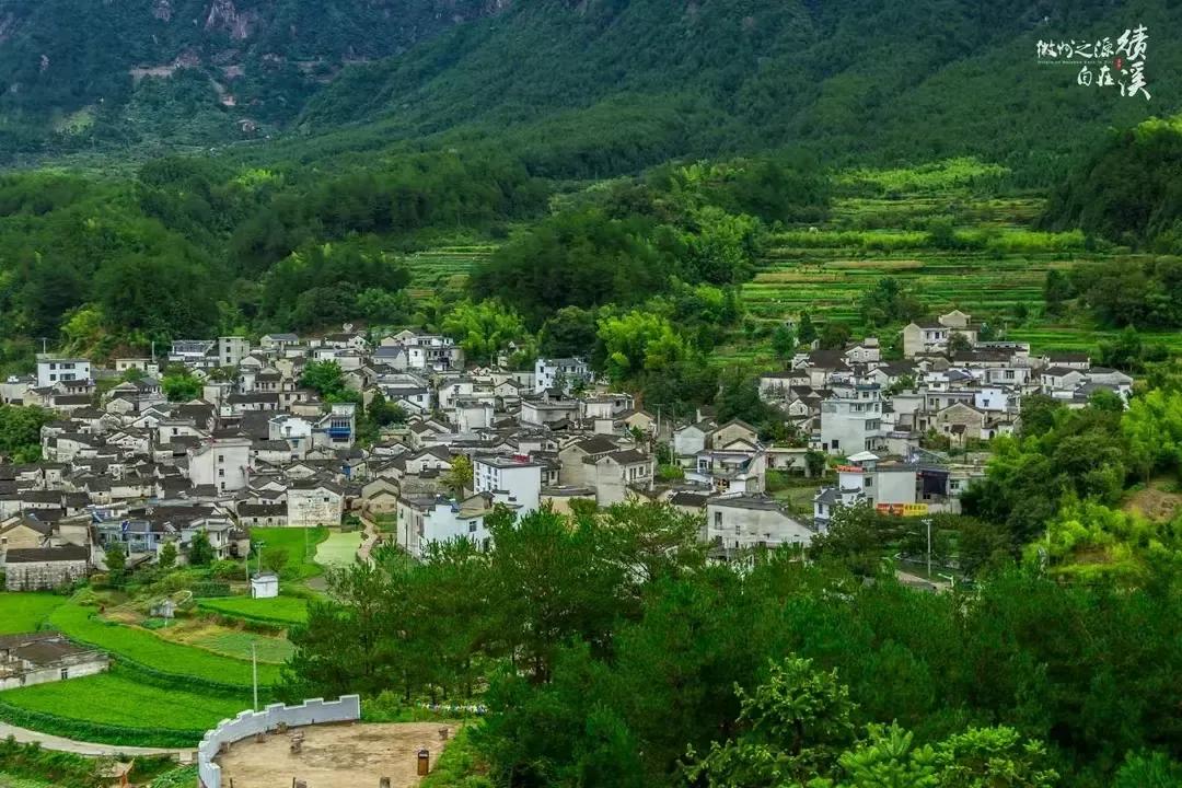 惊人案件人性黑暗江苏孕妇被活活勒死*体下**挂婴儿凶手回应令人发指