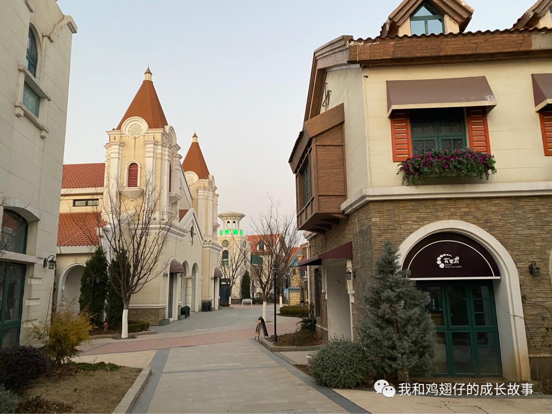 爱美丽推荐打卡第76|合肥必打卡|草坪+湖泊+游乐园+萌宠市集+花海