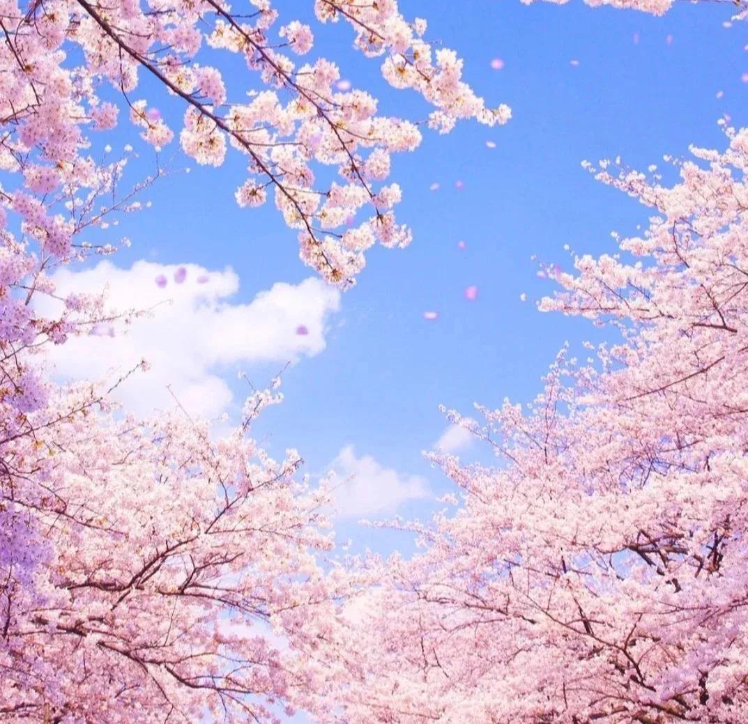 如何做到不要半途而废,为什么做事要坚持不能半途而废呢