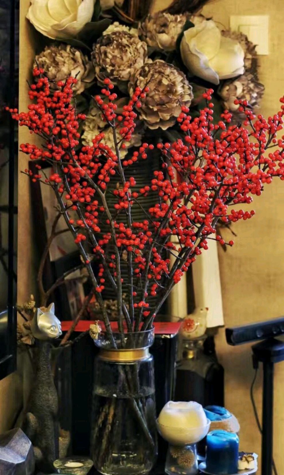 20种吉祥的花,20种年宵花高端又大气