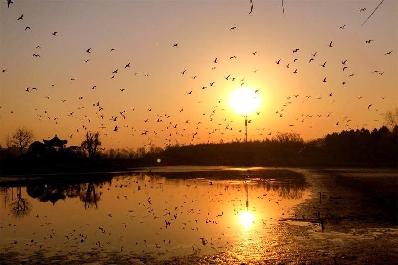 普通“四非”高校的武汉科技大学，实力到底怎么样？