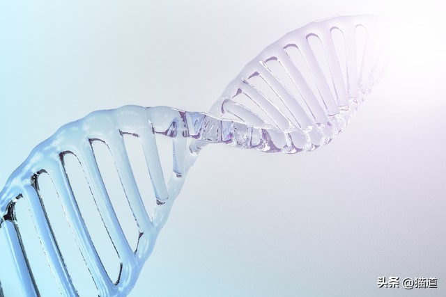 如何用chatGPT来做图像识别,神经网络图像识别特征矩阵