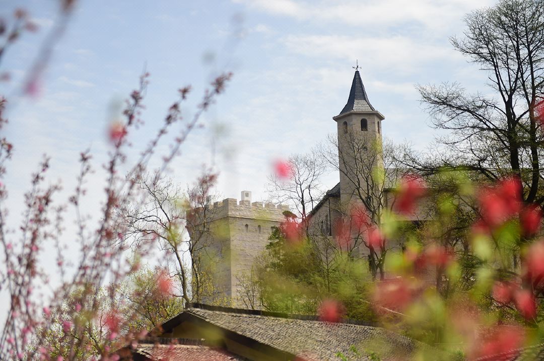 遇间播报|莫干山必睡六大美宿！看山看水看云看日出，优哉游哉~