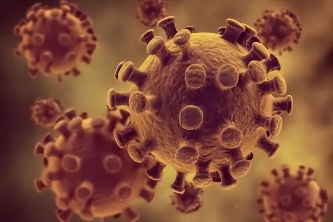 常见的性传播疾病有哪些如何预防,通过性传播的疾病哪个最严重