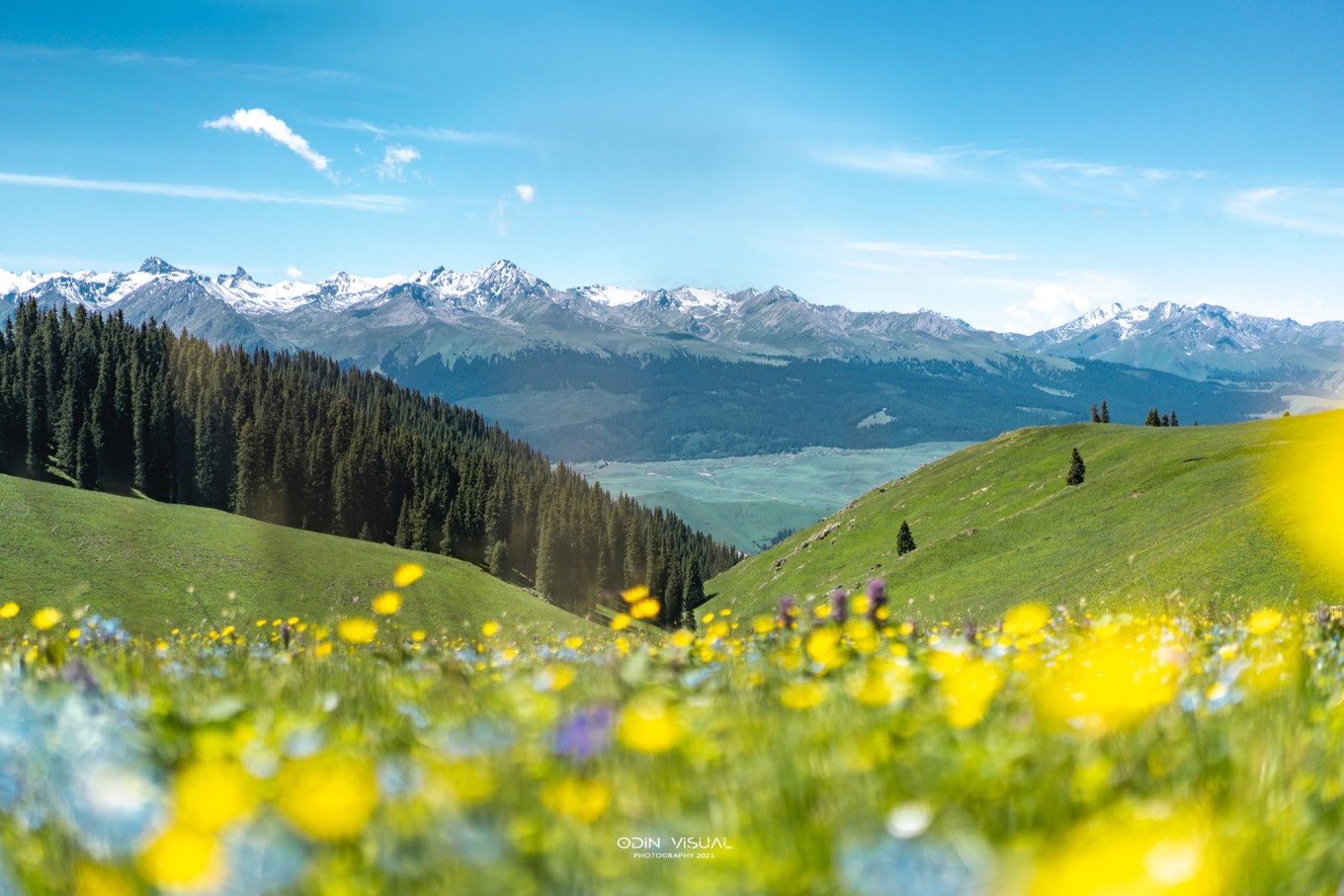 新疆伊犁之美,走了一圈才发现世界万物远不及你