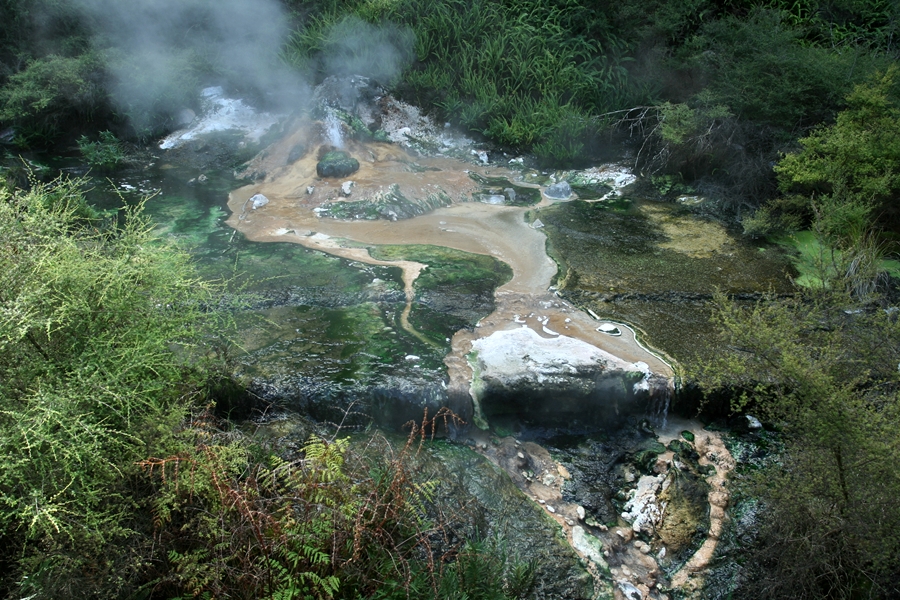 行走新西兰（七）“臭屁城”罗托鲁阿，炼狱里的魔鬼调色板