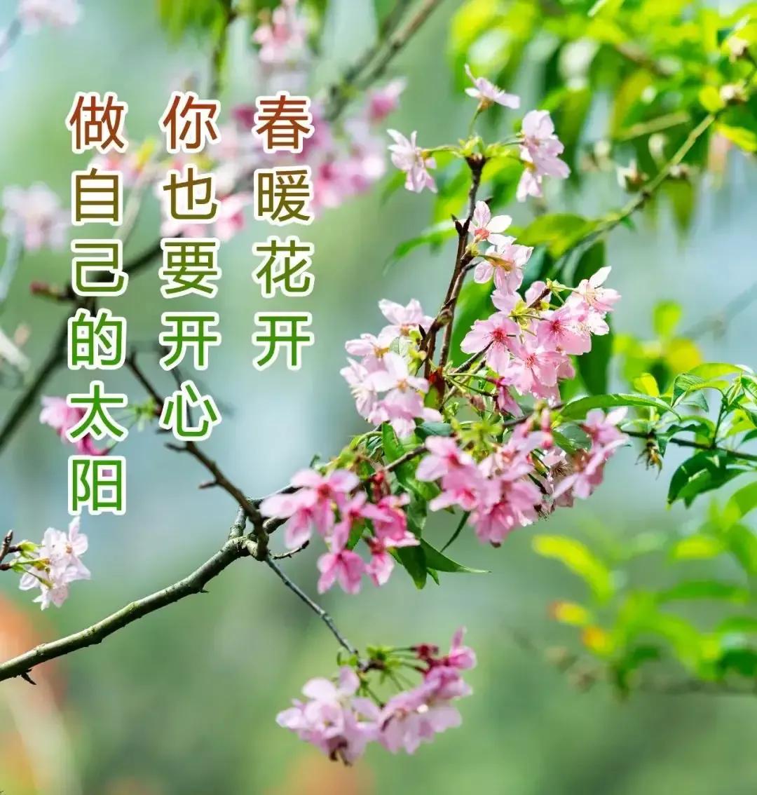 2023年农历是什么年癸卯年,农历2023年癸卯年正月结婚吉日