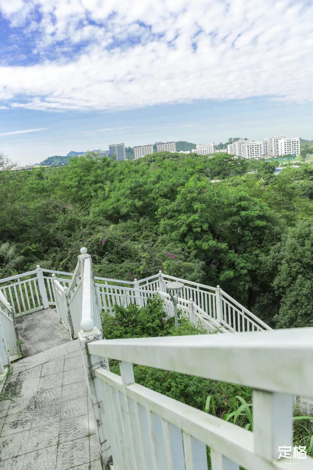 深圳百米长「纯白登山梯」，打卡绝了