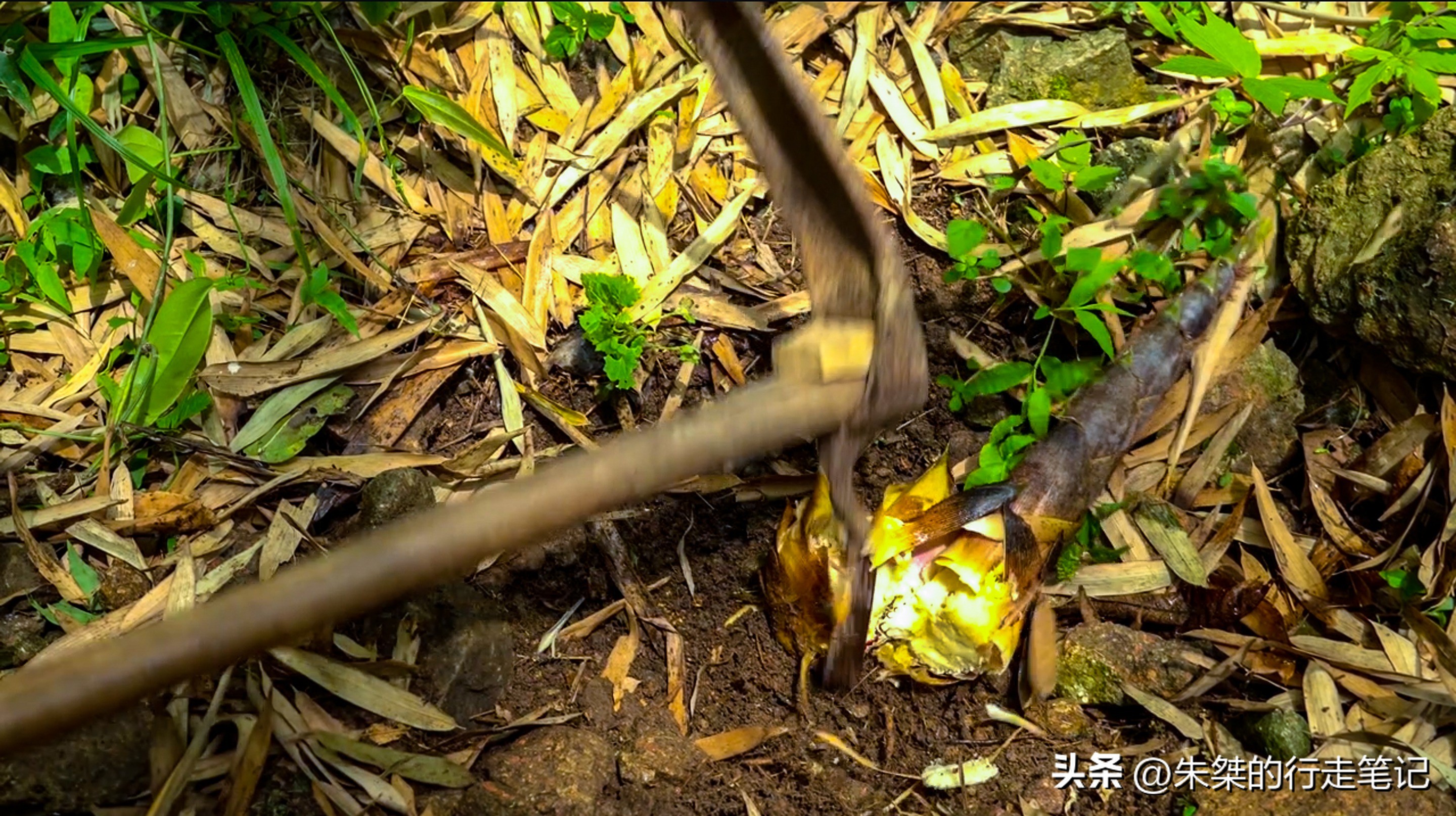 安吉碧瑶山庄农家乐,安吉农家乐包吃住推荐碧瑶山庄