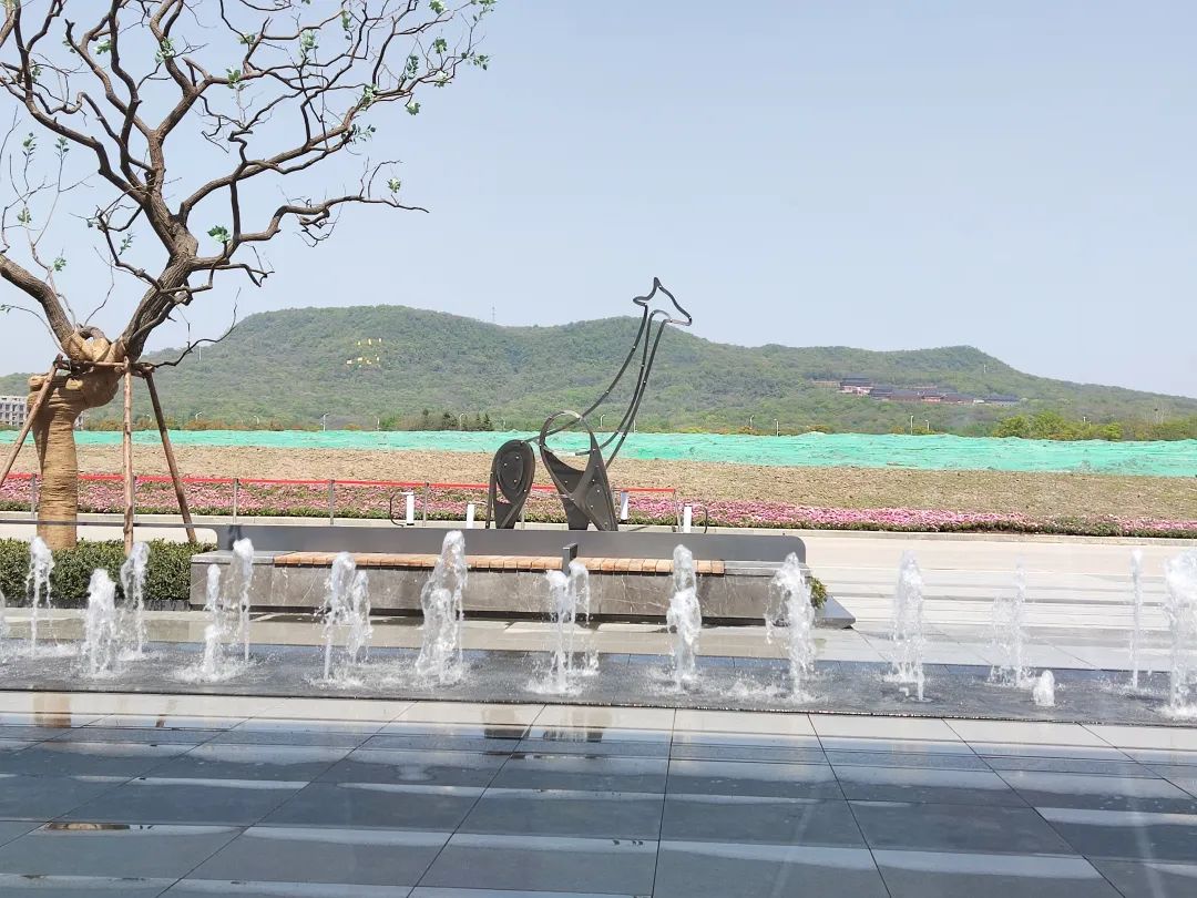 龙湖116洋房四叶草户型,南京龙湖四叶草户型