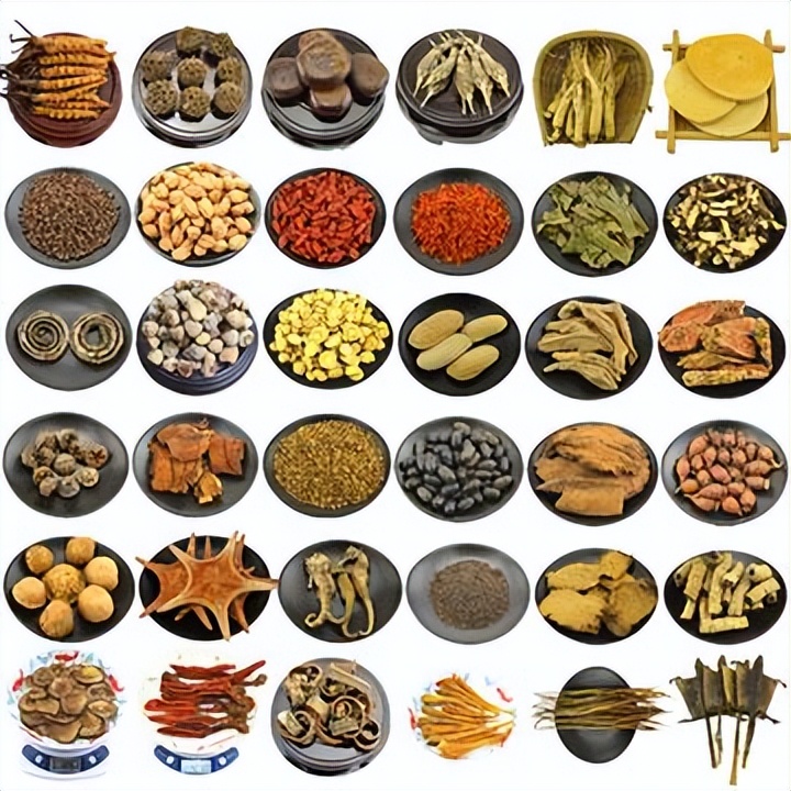 壁虎为何是五毒,壁虎为何被列入五毒之一