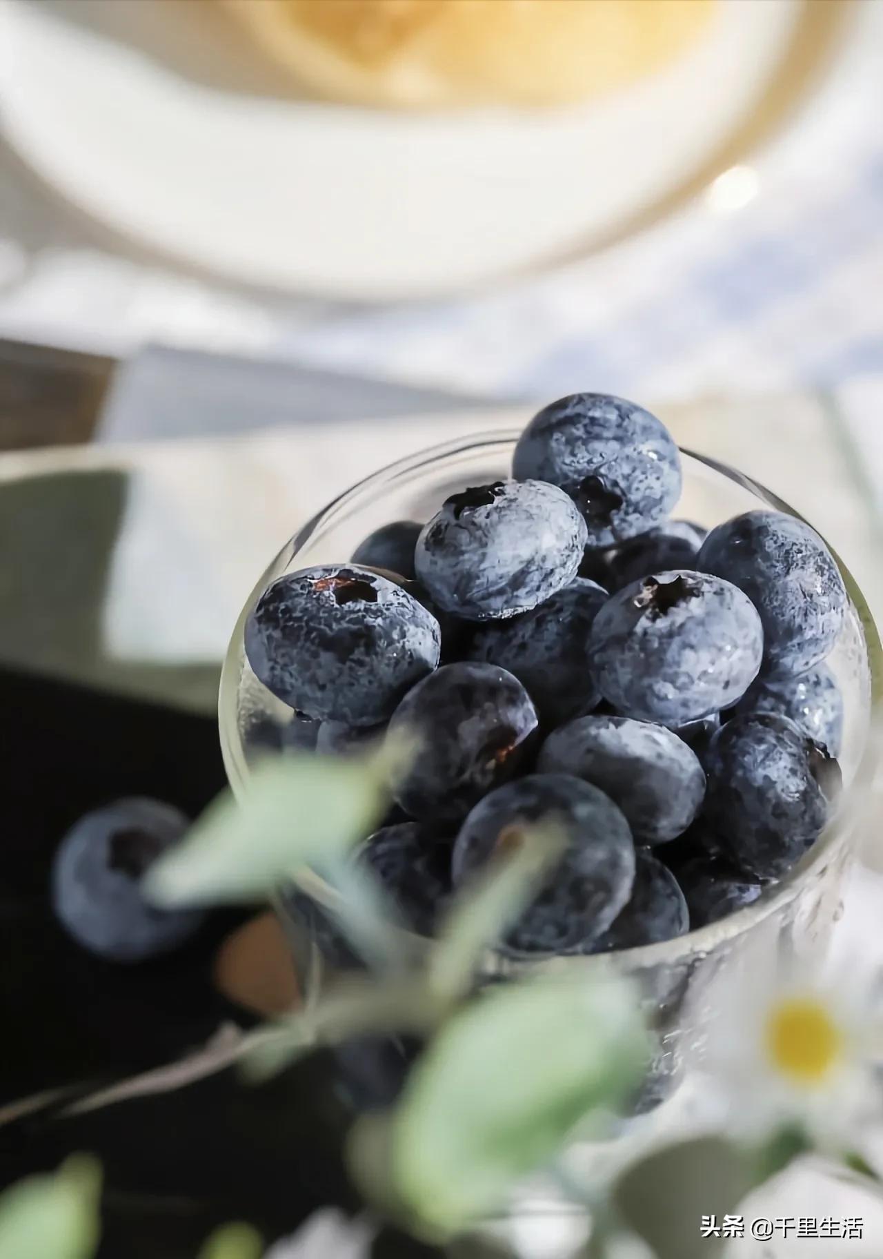 云南昆明蓝莓果,云南丽江蓝莓果