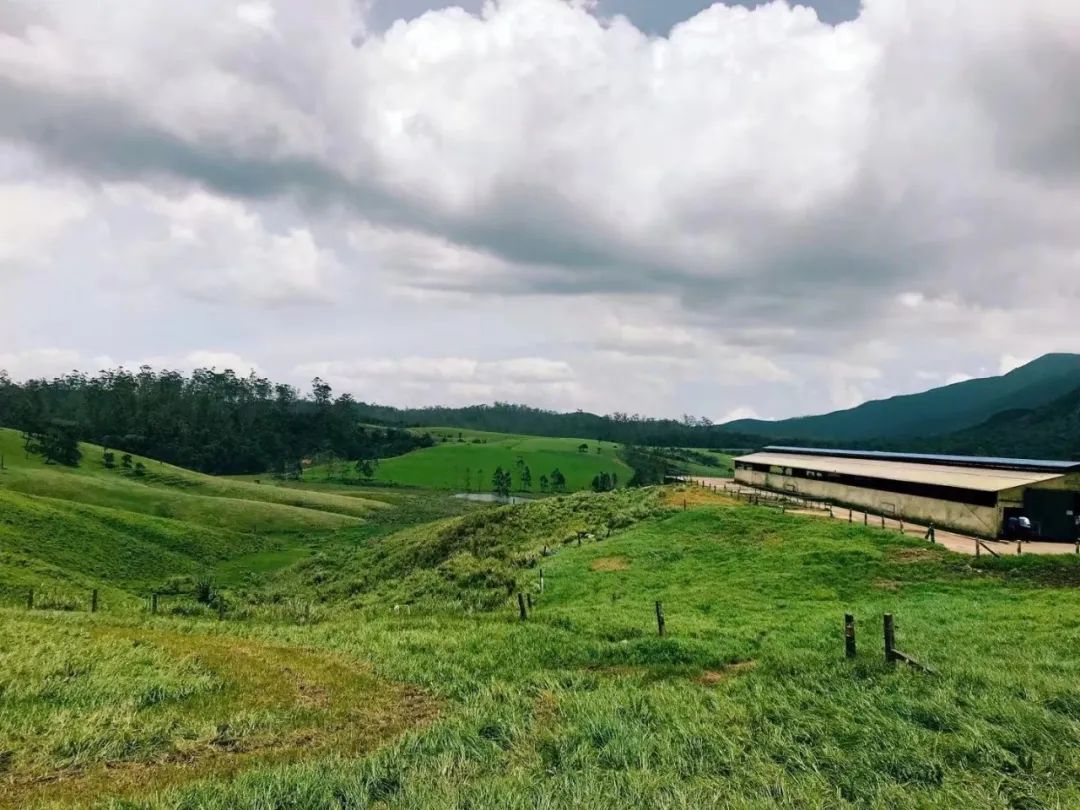 斯里兰卡进紧急状态怎么了,斯里兰卡怎么了