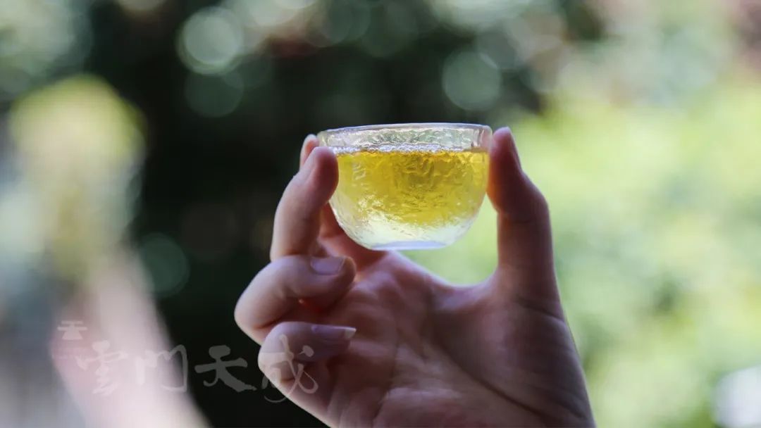 食疗除春困六种食物效果好,春天防春困各种汤的做法大全家常