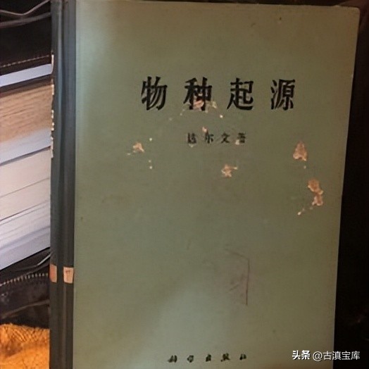 达尔文的进化论是物种起源吗,生物进化论与物种起源的关系