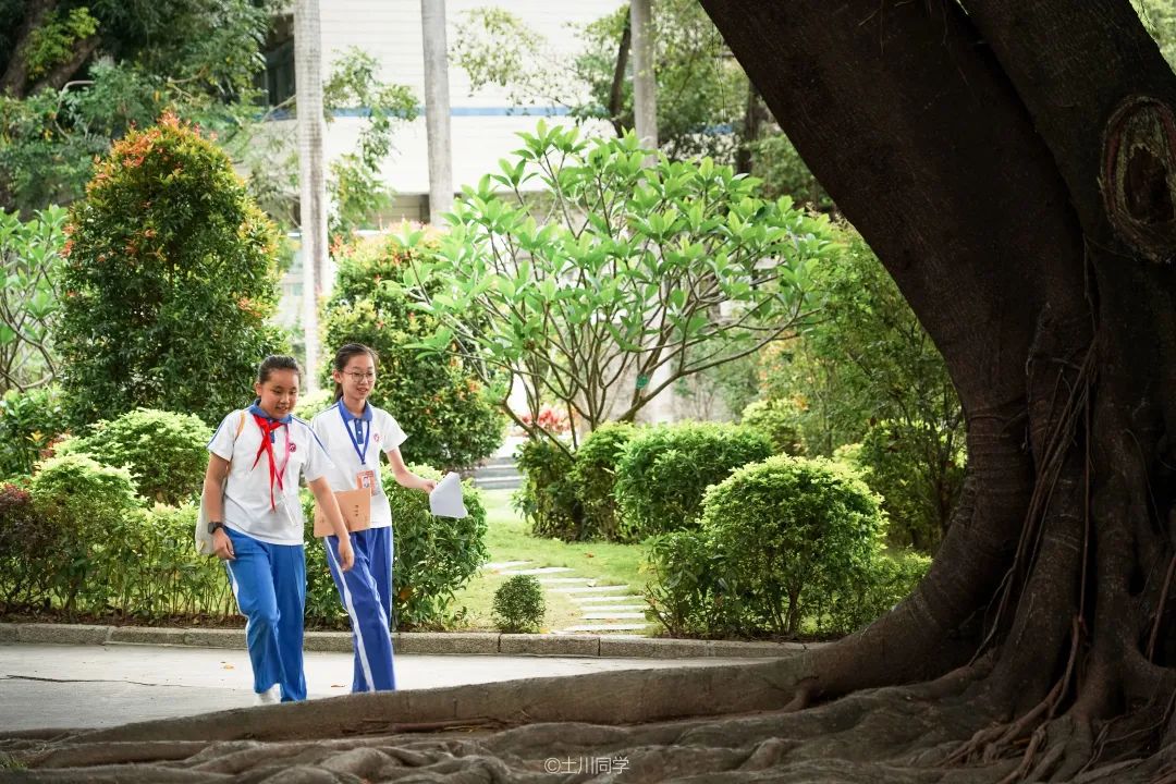 回忆石岩公学,石岩公学5年级