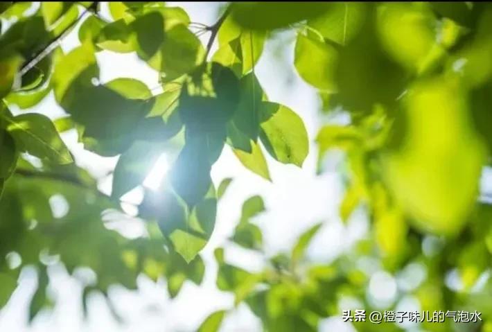 靠谱在家做手机兼职,有人做过手机兼职吗是不是骗人的