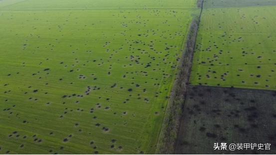 德国进口大口径火炮,德国火炮在俄乌战场