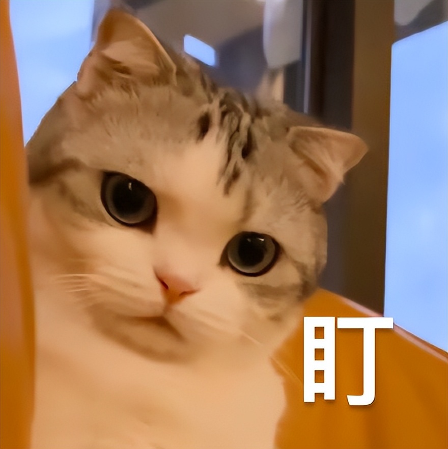 替你们尝了尝老陈醋可乐，然后...