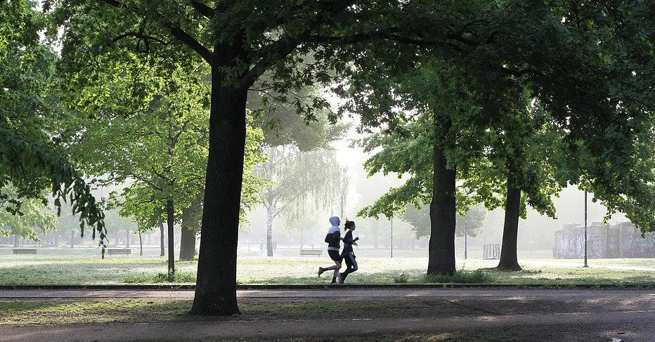 长期不运动大脑细胞,长期不运动对大脑有危害吗