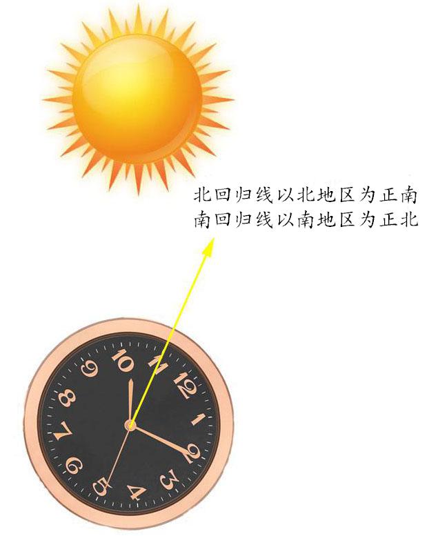 辨认方向的办法,通过树叶辨认方向