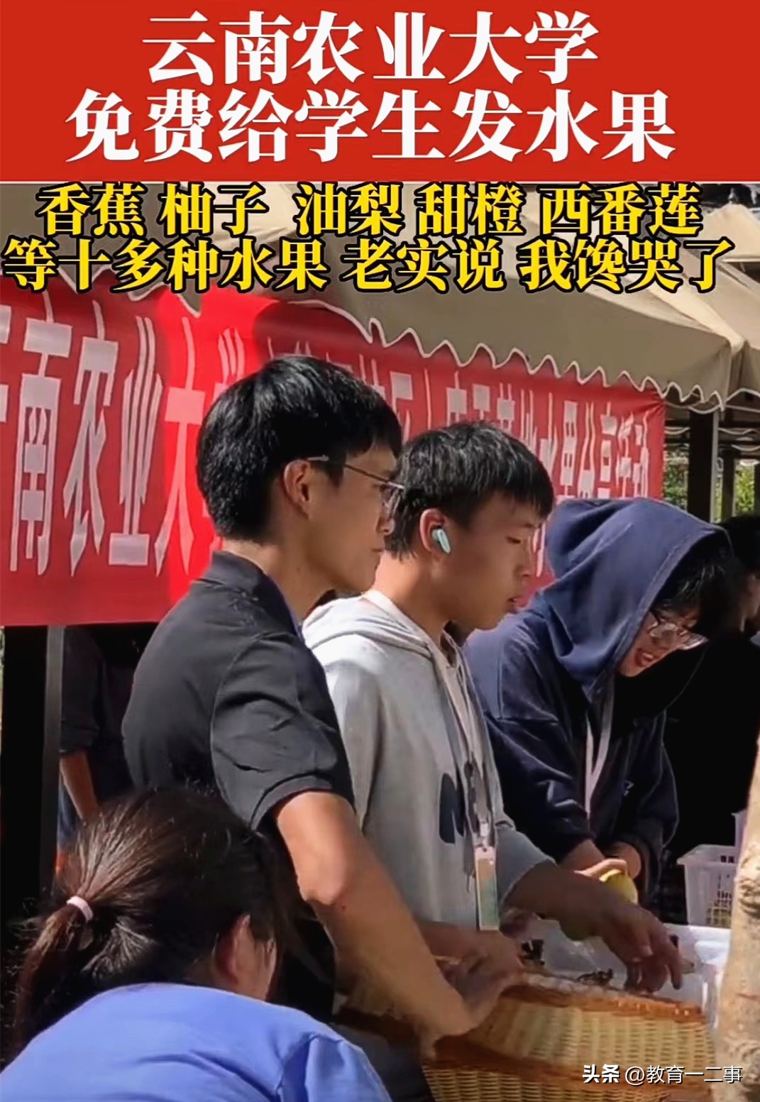 云南农业大学送水果招生,云南农业大学的水果