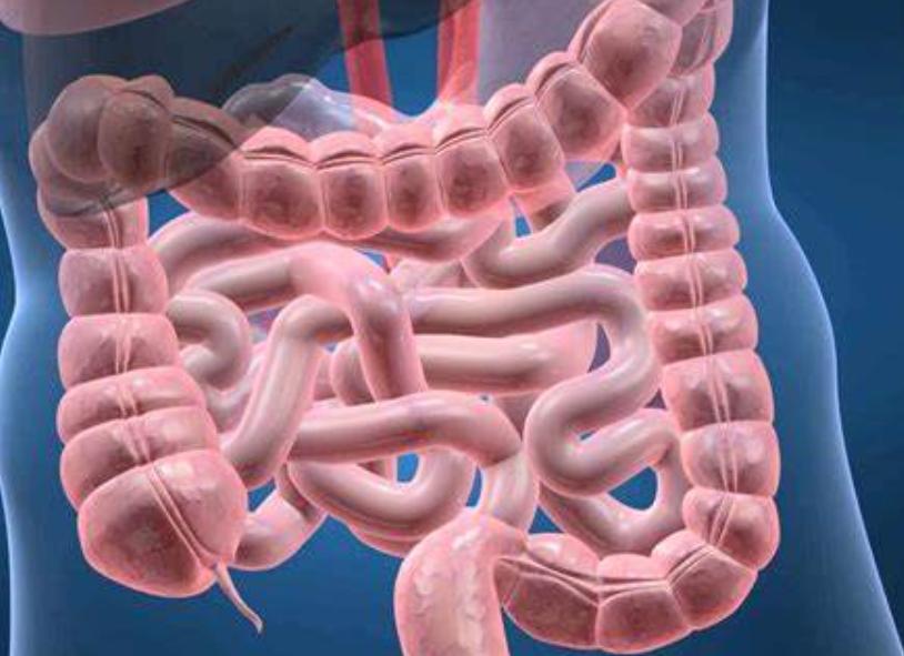 驱蛔虫的宝塔糖为啥现在买不到,宝塔糖蛔虫为什么消失了